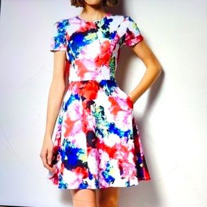 Milly Fit and Flare Watercolor Floral Dress